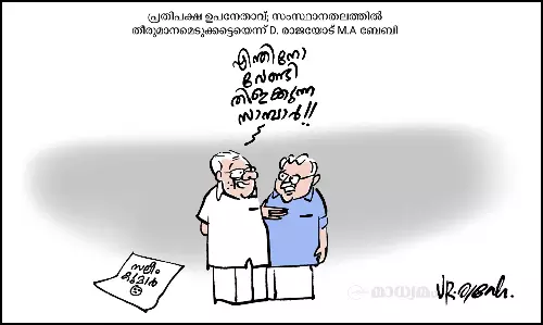 സാമ്പാർ സാമ്പാർ