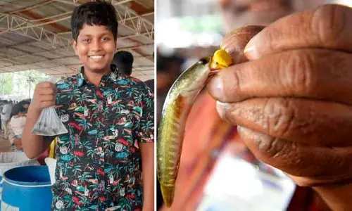 മീൻ കഴിച്ചാൽ ആസ്ത്മ മാറുമോ? ആശ്വാസം തേടി ആയിരങ്ങൾ ഹൈദരാബാദിൽ; ചരിത്രപ്രസിദ്ധമായ ഫിഷ് പ്രസാദം വിതരണം സമാപിച്ചു മീൻ കഴിച്ചാൽ ആസ്ത്മ മാറുമോ? ആശ്വാസം തേടി ആയിരങ്ങൾ ഹൈദരാബാദിൽ; ചരിത്രപ്രസിദ്ധമായ ഫിഷ് പ്രസാദം വിതരണം സമാപിച്ചു