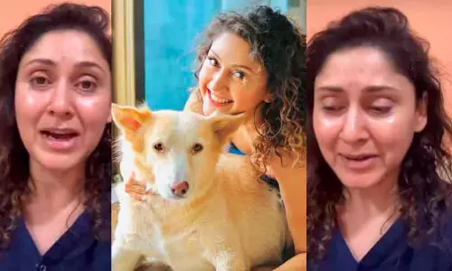 ‘ഉറങ്ങിക്കിടന്ന മൈക്കിയെ ഇരുമ്പ് ദണ്ഡ് കൊണ്ട് അവർ തല്ലിക്കൊന്നു’; നായയുടെ ക്രൂരമായ കൊലപാതകത്തിൽ വിതുമ്പി ബോളിവുഡ് നടി മഞ്ജരി ഫഡ്‌നിസ്