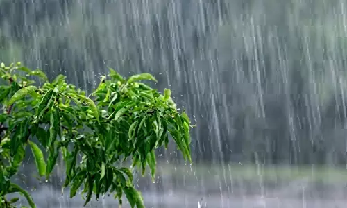 കാസർകോട്, കണ്ണൂർ, കോഴിക്കോട് ജില്ലകളിൽ നാളെ യെല്ലോ അലർട്ട്, കേരള-കർണാടക ലക്ഷദ്വീപ് തീരങ്ങളിൽ മത്സ്യബന്ധനത്തിന് വിലക്ക്