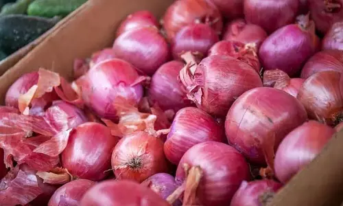 onion