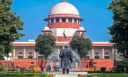 നിങ്ങൾ ഒരു ലേഡിയല്ല, ലേഡി ഡോണാണ്; 60കാരിയുടെ ജാമ്യാപേക്ഷ തള്ളി സുപ്രീ കോടതി