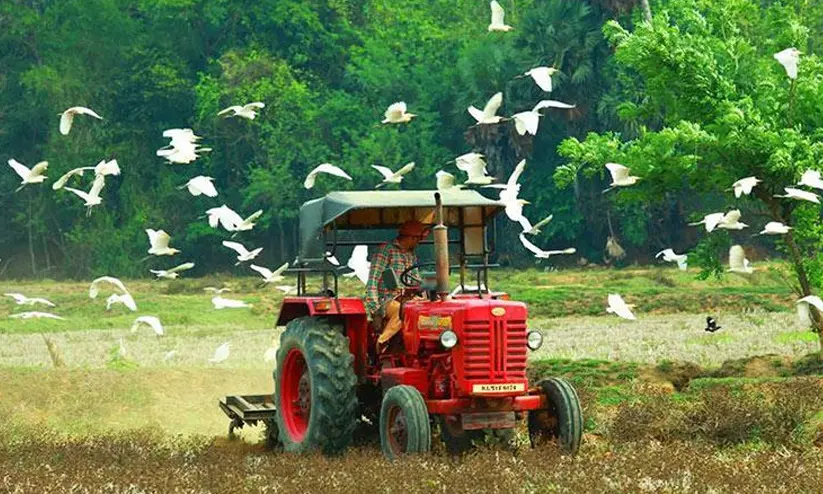 പ്രകൃതി ദുരന്തങ്ങളിൽ കർഷകർക്ക് കൈത്താങ്ങ്; കൃഷിവകുപ്പിന്റെ സംസ്ഥാനതല ഹെൽപ് ലൈനും നിരീക്ഷണ കേന്ദ്രവും ആരംഭിച്ചു പ്രകൃതി ദുരന്തങ്ങളിൽ കർഷകർക്ക് കൈത്താങ്ങ്; കൃഷിവകുപ്പിന്റെ സംസ്ഥാനതല ഹെൽപ് ലൈനും നിരീക്ഷണ കേന്ദ്രവും ആരംഭിച്ചു