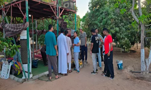 ഫാം ടൂറിസത്തിൽ പുത്തൻ ഉണർവ്; ആനന്ദവും രുചിയും പകർന്ന് ഉംലുജിലെ മാമ്പഴത്തോട്ടങ്ങൾ ഫാം ടൂറിസത്തിൽ പുത്തൻ ഉണർവ്; ആനന്ദവും രുചിയും പകർന്ന് ഉംലുജിലെ മാമ്പഴത്തോട്ടങ്ങൾ