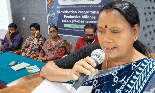 കേര പദ്ധതി; ജില്ലയിലെ കർഷക കൂട്ടായ്മകൾ രാജ്യാന്തര വിപണിയിലേക്ക്