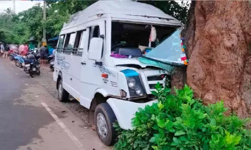 കാട്ടുപന്നിയെ രക്ഷിക്കുന്നതിനിടെ ടെമ്പോ ട്രാവലർ മരത്തിലിടിച്ച് 15 പേർക്ക് പരിക്ക്