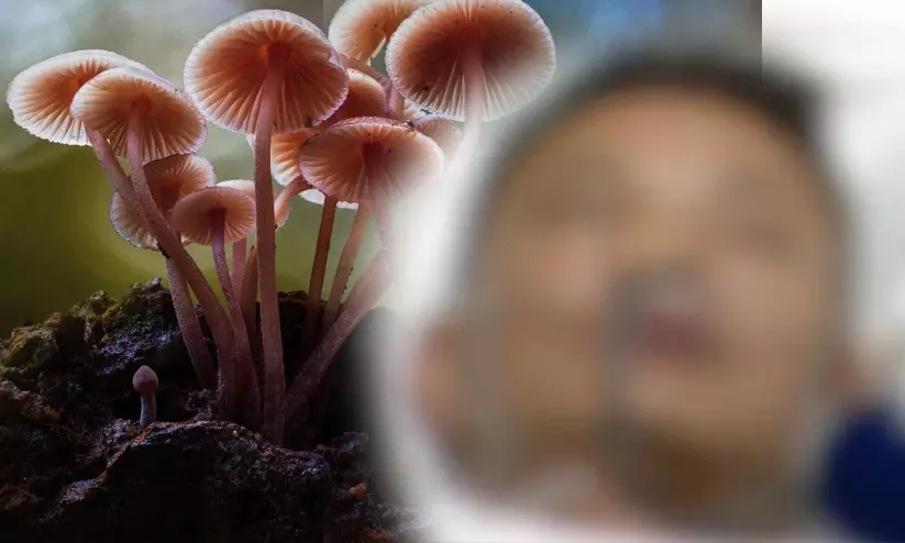 മദ്യത്തിനൊപ്പം മാജിക് മഷ്റൂമും; കിളി പോയ യുവാവ് 27-ാം നിലയിലെ പൈപ്പിൽ തൂങ്ങി, ഒടുവിൽ സാഹസിക രക്ഷപ്പെടൽ മദ്യത്തിനൊപ്പം മാജിക് മഷ്റൂമും; കിളി പോയ യുവാവ് 27-ാം നിലയിലെ പൈപ്പിൽ തൂങ്ങി, ഒടുവിൽ സാഹസിക രക്ഷപ്പെടൽ