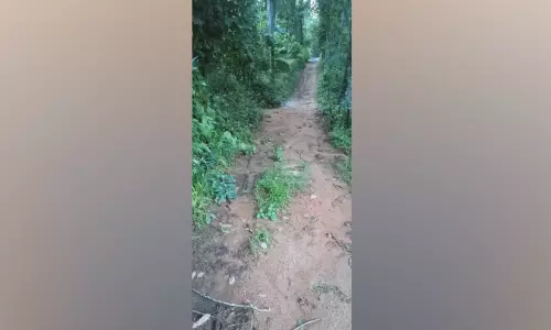 മൺപാത കോണ്ക്രീറ്റ് ചെയ്യുന്നില്ല; തൊടുപുഴയിൽ വയോധികൻ പരാതിയുമായി കമീഷനിൽ മൺപാത കോണ്ക്രീറ്റ് ചെയ്യുന്നില്ല; തൊടുപുഴയിൽ വയോധികൻ പരാതിയുമായി കമീഷനിൽ