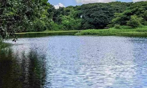 കരഞ്ചി തടാകത്തിലേക്ക് മലിനജല പ്രവാഹം