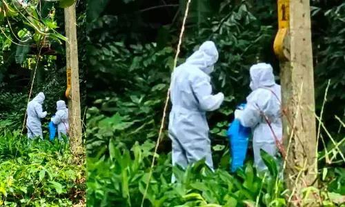 നി​പ​യെ പ്ര​തി​രോ​ധി​ക്കാ​ൻ പ​ഴു​ത​ട​ച്ച പ​രി​ശോ​ധ​ന