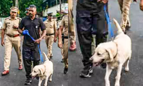 ഓപറേഷൻ തൂഫാനിൽ താരമായി മിസ്റ്റി