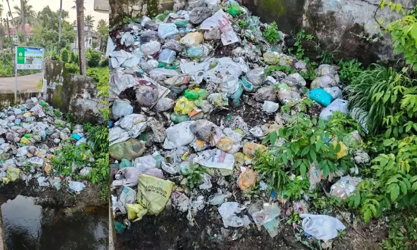 കരിപ്പുഴ-മലയൻ കനാലുകൾ മാലിന്യ വാഹിനി; സംസ്കരണ പദ്ധതി പ്രവർത്തനരഹിതം കരിപ്പുഴ-മലയൻ കനാലുകൾ മാലിന്യ വാഹിനി; സംസ്കരണ പദ്ധതി പ്രവർത്തനരഹിതം