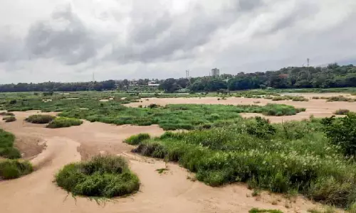 മകയിരം ഞാറ്റുവേലയിലും; ഒറ്റപ്പാലത്ത് നിള വരണ്ടുതന്നെ മകയിരം ഞാറ്റുവേലയിലും; ഒറ്റപ്പാലത്ത് നിള വരണ്ടുതന്നെ