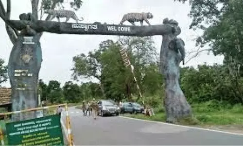 ബ​ന്ദി​പ്പു​ർ രാ​ത്രി​യാ​ത്ര നി​രോ​ധ​നം തു​ട​ര​ണം- എം.​പി