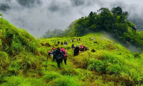മൺസൂൺ നനവിൽ കക്കാടംപൊയിൽ; മിനി ഗവിയിൽ കുളിരും മഞ്ഞും ആസ്വദിക്കാൻ സഞ്ചാരികളുടെ തിരക്ക്