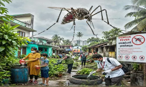 മണ്ണാര്ക്കാട്ട് ഡെങ്കിപ്പനി പടരുന്നു; ജാഗ്രതസമിതികള് രൂപവത്കരിക്കും മണ്ണാര്ക്കാട്ട് ഡെങ്കിപ്പനി പടരുന്നു; ജാഗ്രതസമിതികള് രൂപവത്കരിക്കും