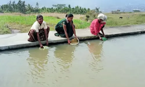 കുടിക്കാൻ മലിനജലം; ജനം രോഗഭീതിയിൽ കുടിക്കാൻ മലിനജലം; ജനം രോഗഭീതിയിൽ