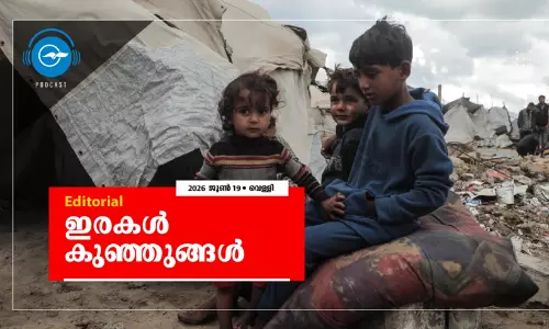 ഇരകൾ കുഞ്ഞുങ്ങൾ ഇരകൾ കുഞ്ഞുങ്ങൾ