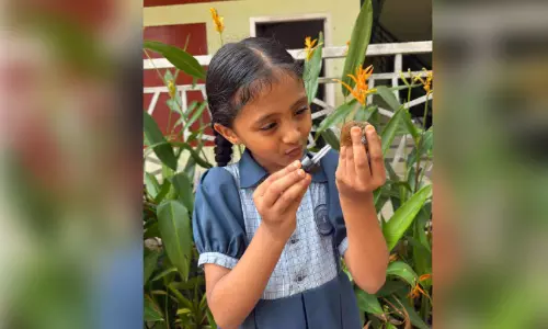 അണ്ണാൻകുഞ്ഞിന് കാവലായി രണ്ടാം ക്ലാസുകാരി
