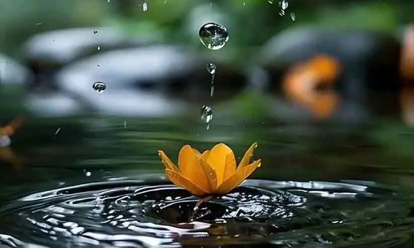നാലുദിവസം കൂടി ഒറ്റപ്പെട്ട മഴക്ക് സാധ്യത: വിവിധ ജില്ലകളിൽ യെല്ലോ അലർട്ട് നാലുദിവസം കൂടി ഒറ്റപ്പെട്ട മഴക്ക് സാധ്യത: വിവിധ ജില്ലകളിൽ യെല്ലോ അലർട്ട്