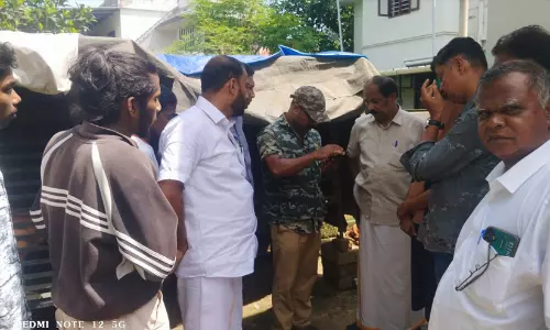 പുലർച്ചെ ലോകകപ്പ് മത്സരം കാണാനിറങ്ങിയവർക്ക് മുന്നിൽ ചാടിവീണു, പുലിഭീതിയിൽ കപ്രശ്ശേരി