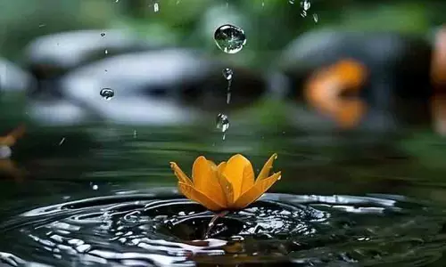 നാലുദിവസം കൂടി ഒറ്റപ്പെട്ട മഴക്ക് സാധ്യത: വിവിധ ജില്ലകളിൽ യെല്ലോ അലർട്ട്