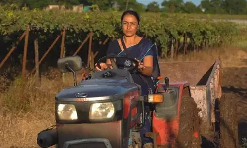 സ്ത്രീകൾക്ക് കൃഷി ചെയ്യാനാവില്ലെന്ന് അവർ പറഞ്ഞു; ഇന്ന് ഈ മഹാരാഷ്ട്രക്കാരി സമ്പാദിക്കുന്നത് 30 ലക്ഷം വരെ