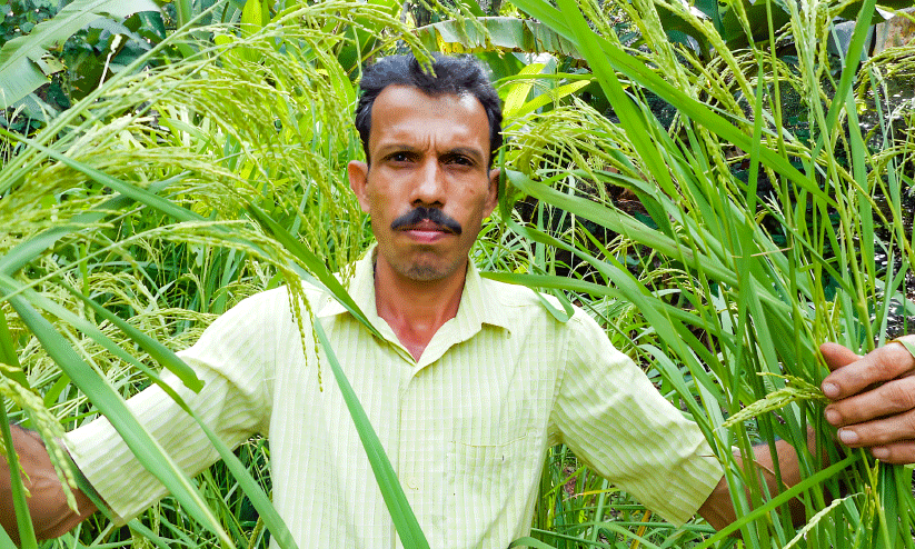 വിത്തു പാഠം വിത്തു പാഠം