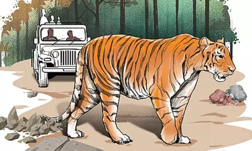 പു​ലി​യെ​ക്ക​ണ്ട ഭീ​തി​ വി​ട്ടു​മാ​റാ​തെ അ​ന​ന്തു​വും അ​ർ​ജു​ന​നും മു​ഹ​മ്മ​ദ​ലി ചെ​ങ്ങ​മ​നാ​ട്