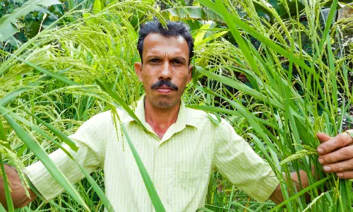 വിത്തു പാഠം
