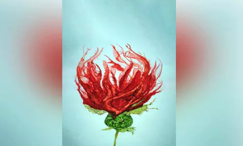 സ്വപ്നത്തിന്‍റെ വിത്ത്