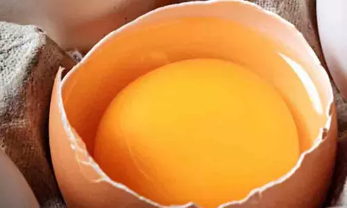 മുട്ടയുടെ മഞ്ഞക്കരു ഒഴിവാക്കുന്നവരാണോ? എങ്കിൽ ഇക്കാര്യം അറിഞ്ഞിരിക്കുക