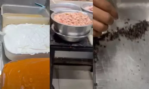 ‘ഇന്നലെ പരിശോധനയിൽ കണ്ട കാഴ്ച! ഈച്ചകളുടെ സമ്മേളനം, ചിക്കനിലെ നിറം, ചുവന്ന പെയിന്റ് പോലെ എണ്ണ, കാലംകഴിഞ്ഞ ഫ്രോസൺ ചിക്കൻ...’ ‘ഇന്നലെ പരിശോധനയിൽ കണ്ട കാഴ്ച! ഈച്ചകളുടെ സമ്മേളനം, ചിക്കനിലെ നിറം, ചുവന്ന പെയിന്റ് പോലെ എണ്ണ, കാലംകഴിഞ്ഞ ഫ്രോസൺ ചിക്കൻ...’
