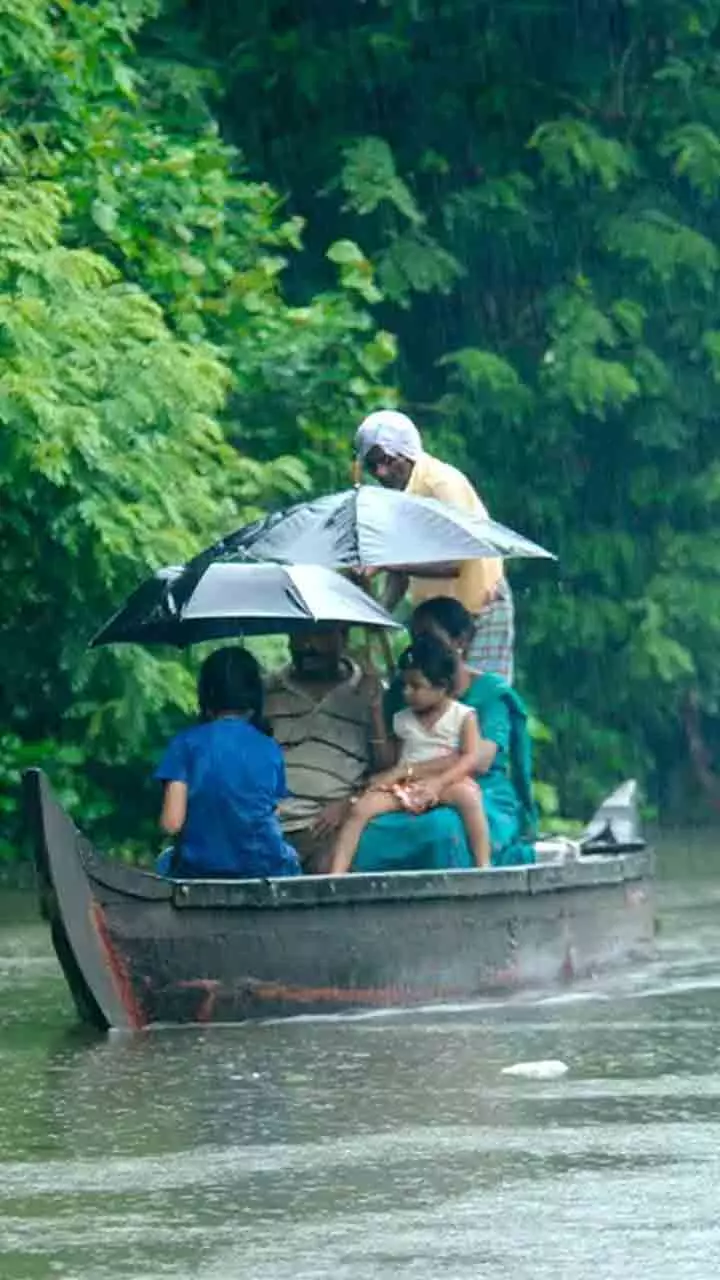 ഈ മഴക്കാലത്ത് രോഗങ്ങളെ അകറ്റിനിർത്താം ഈ മഴക്കാലത്ത് രോഗങ്ങളെ അകറ്റിനിർത്താം