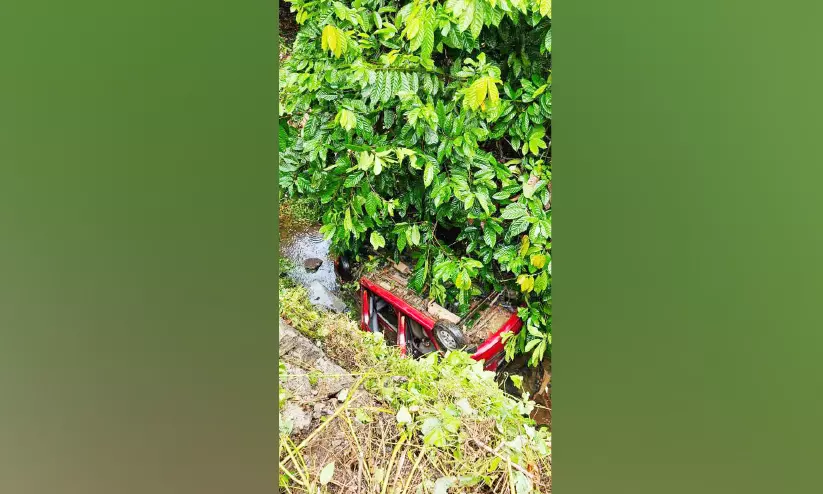 കാർ താഴ്ചയിലേക്ക് മറിഞ്ഞ് നാലുപേർക്ക് പരിക്ക് കാർ താഴ്ചയിലേക്ക് മറിഞ്ഞ് നാലുപേർക്ക് പരിക്ക്