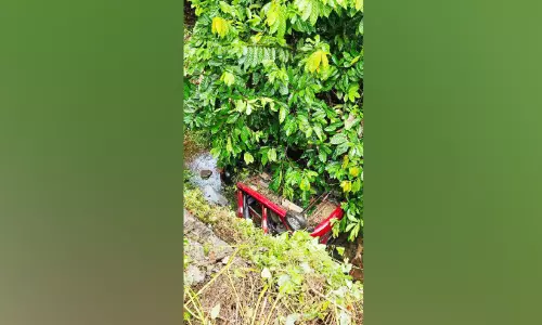 കാർ താഴ്ചയിലേക്ക് മറിഞ്ഞ് നാലുപേർക്ക് പരിക്ക്