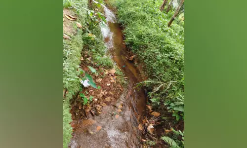 വെള്ളറടയിൽ നീരുറവകളിൽ വെള്ളം വാര്‍ന്നു പോകുന്നില്ല; പകർച്ചവ്യാധി ഭീഷണി