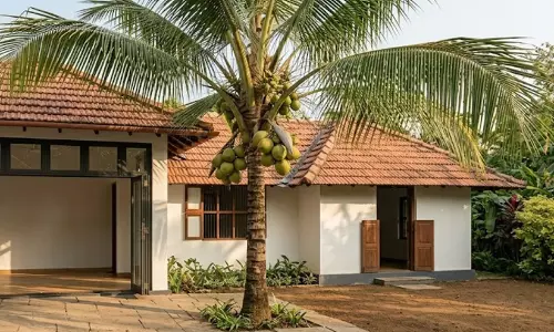 തെങ്ങിന് ചിരിക്കാൻ കഴിവുണ്ടെങ്കിൽ അയൽക്കാരെ നോക്കി ചിരിച്ചേനെയെന്ന് ഹൈകോടതി, തർക്കം പഞ്ചായത്ത് മുതൽ ഹൈക്കോടതി വരെ എത്തിച്ചതിനെ തുടർന്ന് തെങ്ങിന് ചിരിക്കാൻ കഴിവുണ്ടെങ്കിൽ അയൽക്കാരെ നോക്കി ചിരിച്ചേനെയെന്ന് ഹൈകോടതി, തർക്കം പഞ്ചായത്ത് മുതൽ ഹൈക്കോടതി വരെ എത്തിച്ചതിനെ തുടർന്ന്