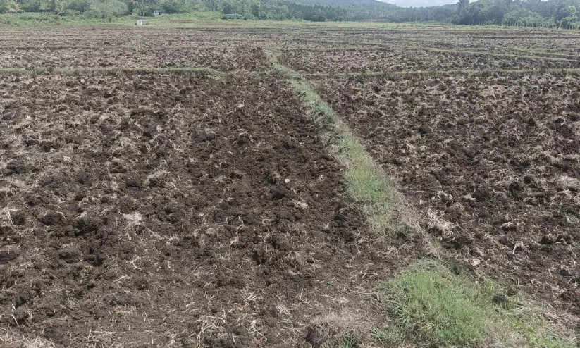വയനാട്ടിൽ ലഭിച്ചത് 163 മില്ലിമീറ്റർ മഴ; മുൻ വർഷത്തെ അപേക്ഷിച്ച് ഏഴ് ശതമാനം മഴ കുറവ് വയനാട്ടിൽ ലഭിച്ചത് 163 മില്ലിമീറ്റർ മഴ; മുൻ വർഷത്തെ അപേക്ഷിച്ച് ഏഴ് ശതമാനം മഴ കുറവ്