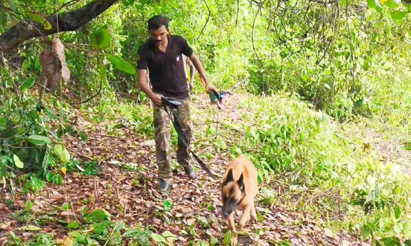 മലപ്പട്ടത്ത് സ്ഫോടനം; തൊഴിലുറപ്പ് തൊഴിലാളികൾക്ക് പരിക്ക് മലപ്പട്ടത്ത് സ്ഫോടനം; തൊഴിലുറപ്പ് തൊഴിലാളികൾക്ക് പരിക്ക്