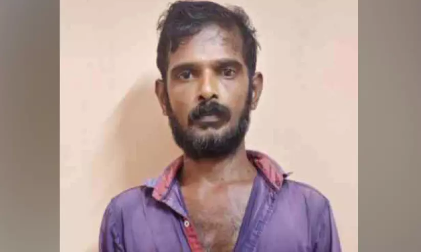 വീട്ടിൽ കഞ്ചാവ് വളർത്തിയ യുവാവ് അറസ്റ്റിൽ വീട്ടിൽ കഞ്ചാവ് വളർത്തിയ യുവാവ് അറസ്റ്റിൽ