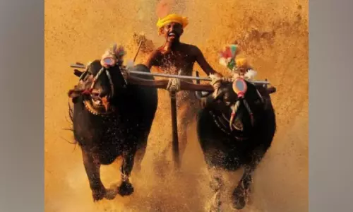 മൈസൂരു ദസറയിൽ ഇനി കമ്പളയും