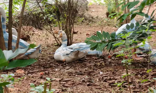 മെസ്സിയോടുള്ള ആരാധന മൂത്ത് ചെയ്തത് കണ്ടോ?