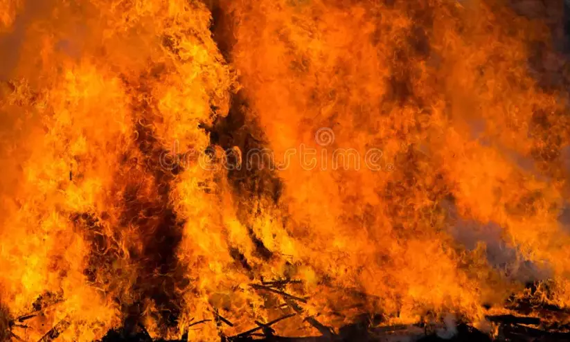 ഡൽഹിയിലെ ഉദ്യോഗ് ഭവനിൽ വൻ തീപിടിത്തം; 200ഓളം ഷെഡുകൾ കത്തിയമർന്നു ഡൽഹിയിലെ ഉദ്യോഗ് ഭവനിൽ വൻ തീപിടിത്തം; 200ഓളം ഷെഡുകൾ കത്തിയമർന്നു