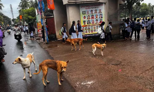 തെരുവുനായ്ക്കൂട്ടങ്ങൾക്കിടയിലെ ഭയാനക ജീവിതം; പരാതി നൽകി മുസ്‍ലിം ലീഗ്