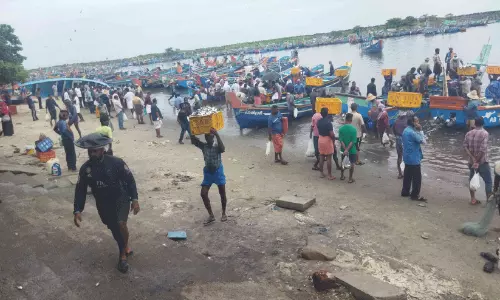 വി​ക​സ​ന​ത്തി​ന് കാ​തോ​ർ​ത്ത് ചോ​മ്പാ​ല മ​ത്സ്യ​ബ​ന്ധ​ന   തു​റ​മു​ഖം