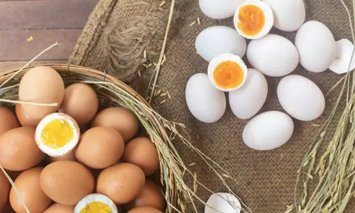 ബംഗാളിലെ ഉച്ചഭക്ഷണ പദ്ധതിയിൽ നിന്ന് മുട്ട ഒഴിവാക്കി; സസ്യഭക്ഷണ അടിച്ചേൽപ്പിക്കൽ അംഗീകരിക്കില്ലെന്ന് തൃണമൂൽ കോൺഗ്രസ്