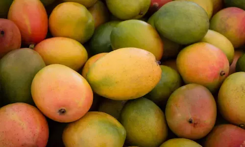 mango price down