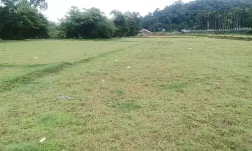 മഴക്കാലത്തും വെയിൽ, കാർഷികമേഖല വിയർക്കുന്നു