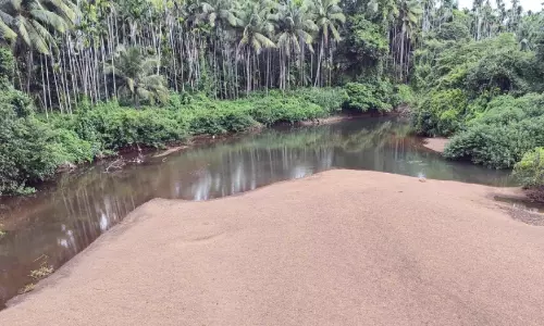 ഞാറ്റുവേലയിലും മഴയില്ല മെലിഞ്ഞ് ജലാശയങ്ങൾ